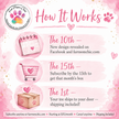 Fur Mom Chic Monthly Tee Subscription (Shipping Included)